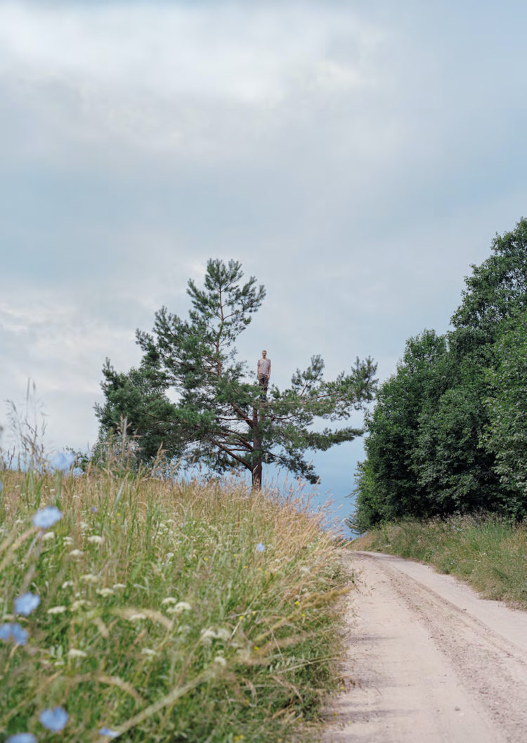 Biennale de la photographie de Mulhouse