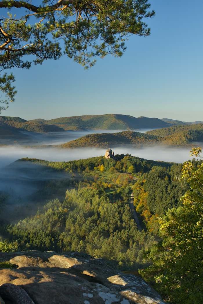 Vue vers le Fleckenstein depuis le rocher du Krappenfels. © Jean Isenmann